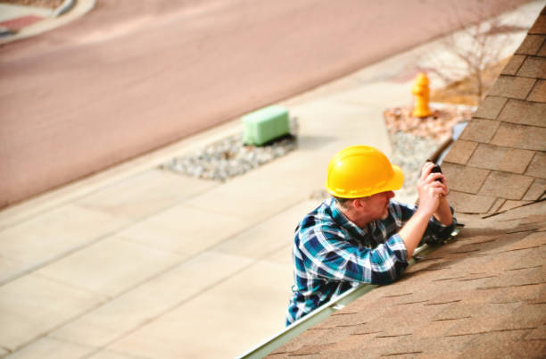 Best Roof Gutter Cleaning  in Chleston, AR